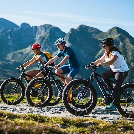 Vakantiehuis Gite L'estibere En Val D'azun *